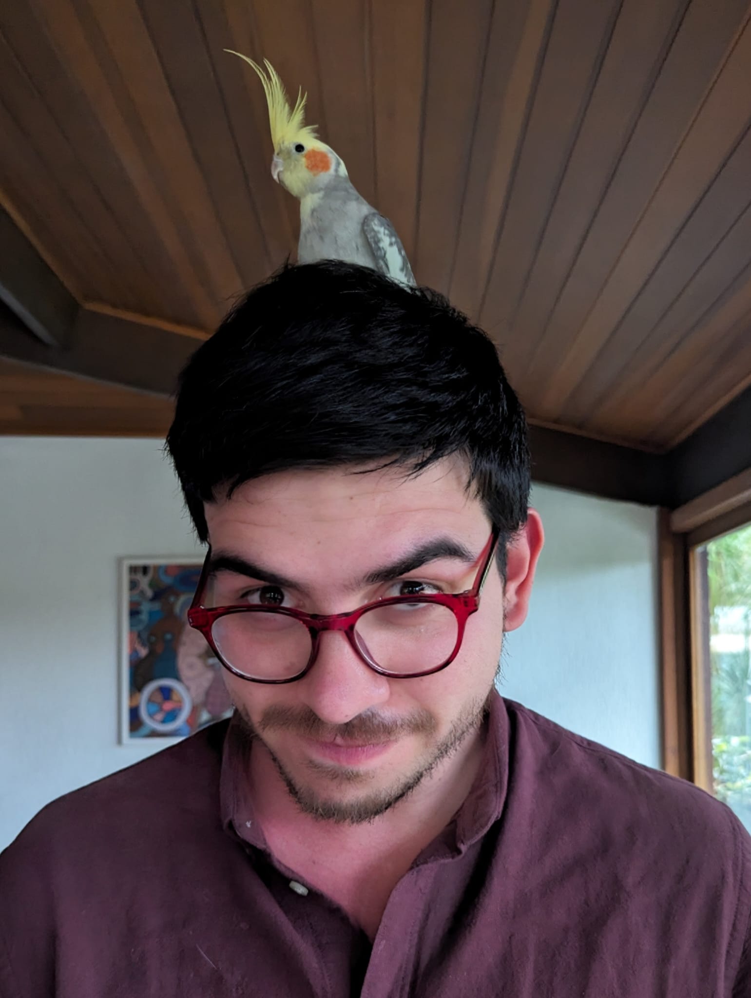 Pietro Mesquita Piccione